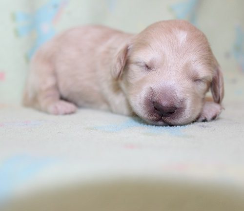 Female #3 Staying Here