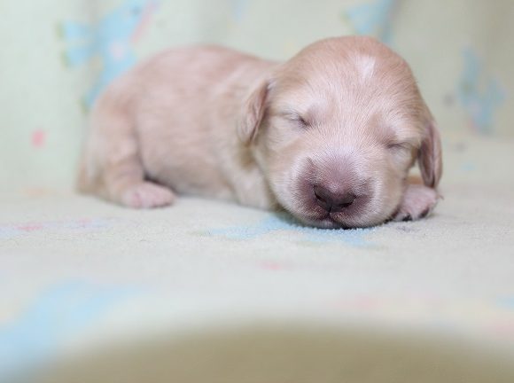 Female #3 Staying Here