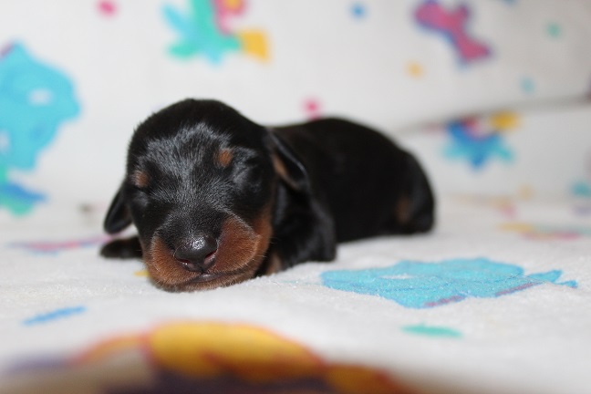 Male #1