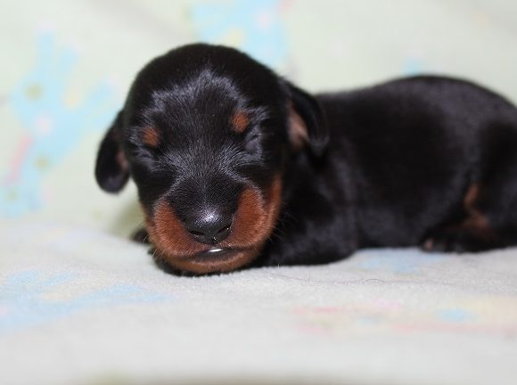 Male #1