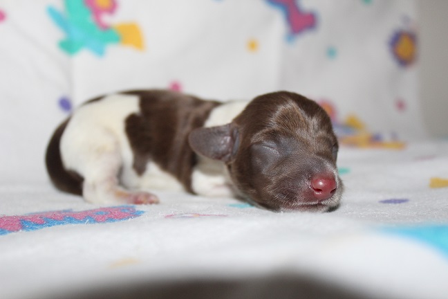 Male #1