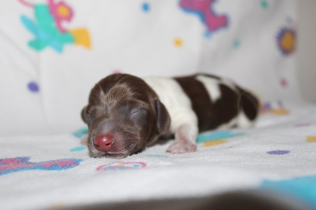 Male #1
